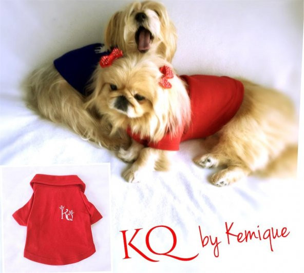 Kırmızı Köpek Gömleği  Kings & Queens