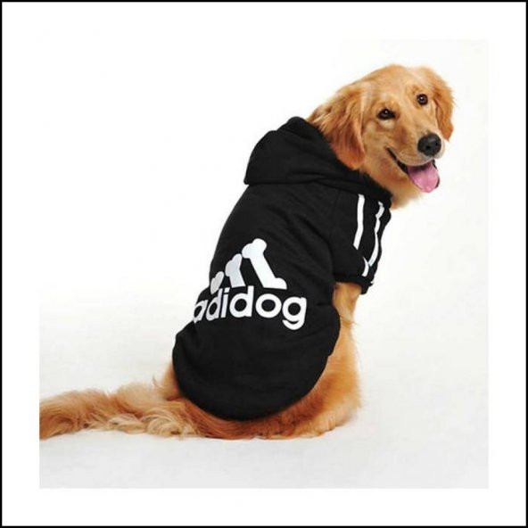 Gri Kapşonlu Adidog Sweatshirt Büyük Köpekler İçin