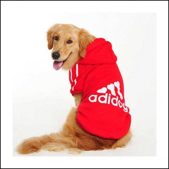 Kırmızı Kapşonlu Adidog Sweatshirt Orta ve Büyük Köpekler İçin Kırmızı