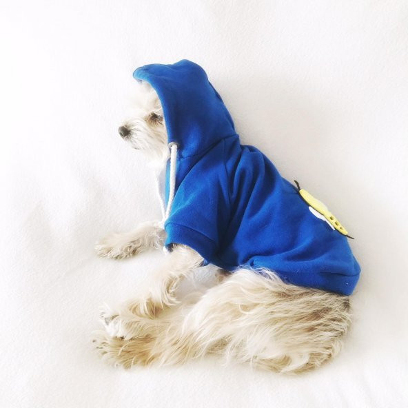 Athletique Arılı Köpek Süeteri  Köpek Kıyafet Elbise - 4