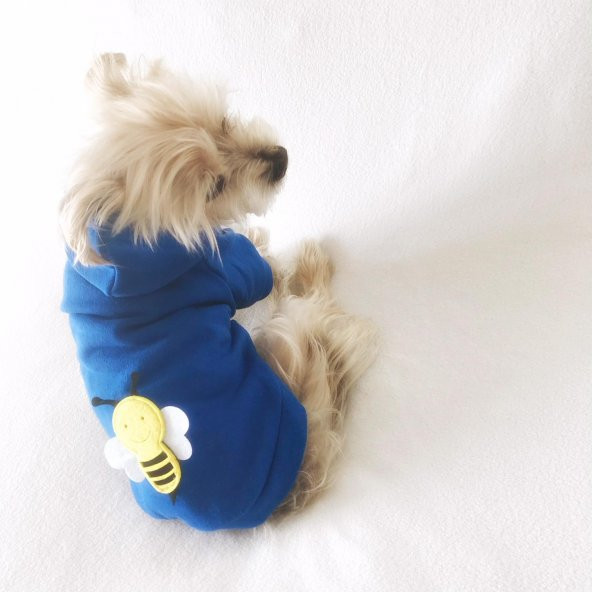 Athletique Arılı Köpek Süeteri  Köpek Kıyafet Elbise - 10