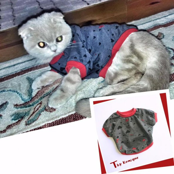 Mini Hearts Oval Yaka Tişört T by Kemique Kedi Kıyafeti Kedi Elbi