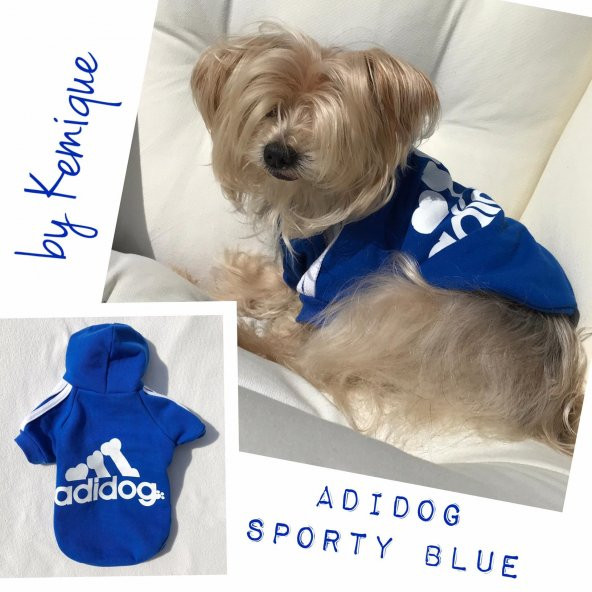 Mavi Sporty Adidog Sweatshirt Ufak Irk