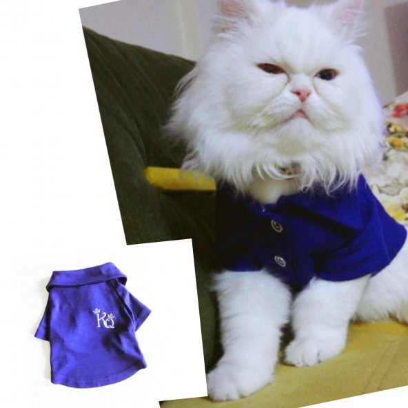 Mavi Kedi Gömleği Kings & Queens