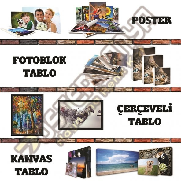 Türkan Şoray Siyah Beyaz Yeşilçam Film Afişi & Kanvas Tablo - 2