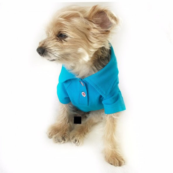 MAVİ Polo Yaka Tişört Köpek Kıyafeti  Köpek Elbisesi