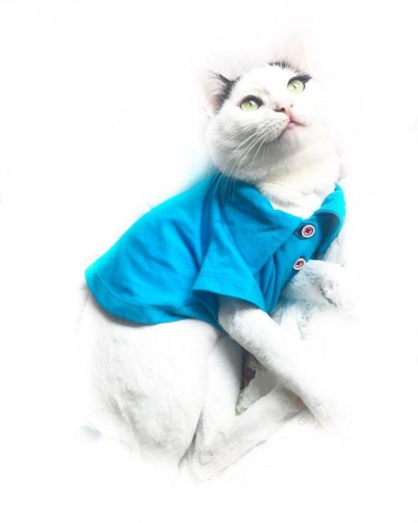 MAVİ  Polo Yaka Tişört  by Kemique  Kedi Kıyafeti  Kedi Elbisesi