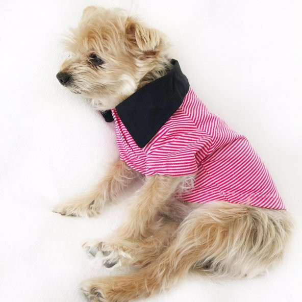 KIRMIZI BEYAZ ÇİZGİLİ Polo Yaka Tişört  by Kemique  Köpek Kıyafeti  Köpek Elbisesi