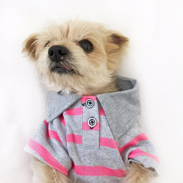 Gri Pembe Çizgili Polo Yaka Tişört  Köpek Kıyafeti  Köpek Elbisesi - 2