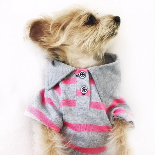 Gri Pembe Çizgili Polo Yaka Tişört  Köpek Kıyafeti  Köpek Elbisesi - 7