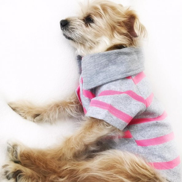 Gri Pembe Çizgili Polo Yaka Tişört  Köpek Kıyafeti  Köpek Elbisesi - 8