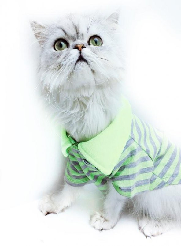 FOSFORLU SARI GRİ ÇİZGİLİ Polo Yaka Tişört  by Kemique  Kedi Kıyafeti  Kedi Elbisesi