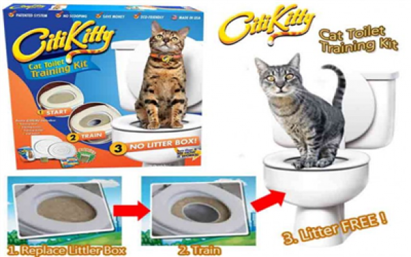 Citi Kitty Tuvalet Eğitim Seti