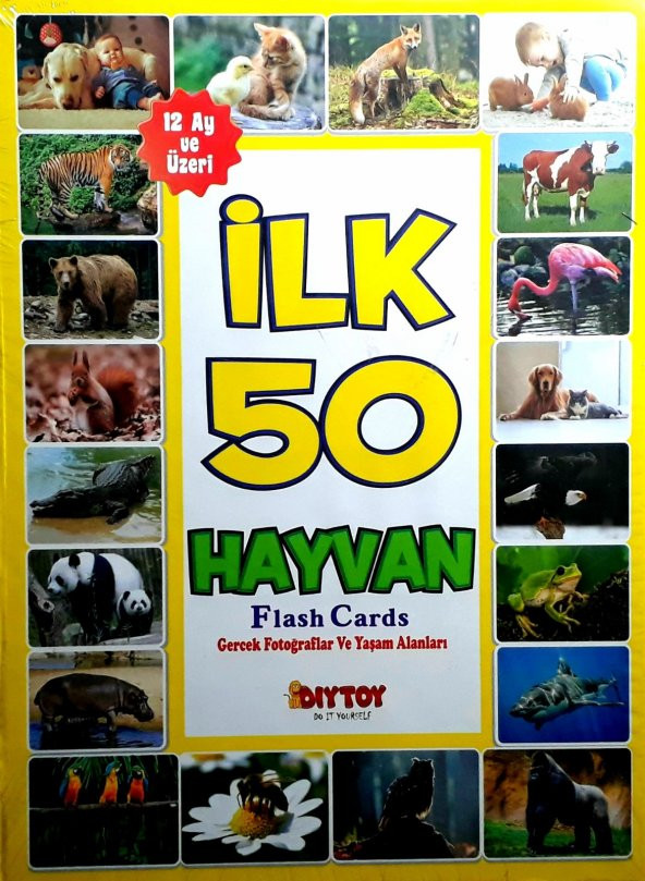 Flash Card İlk 50 hayvan(12 ay üzeri)