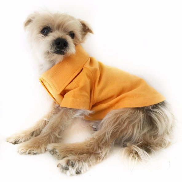 HARDAL Polo Yaka Tişört  by Kemique  Köpek Kıyafeti  Köpek Elbisesi