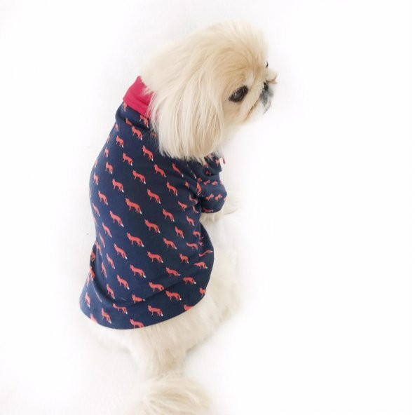 Fox Polo Yaka Tişört Köpek Kıyafeti  Köpek Elbisesi