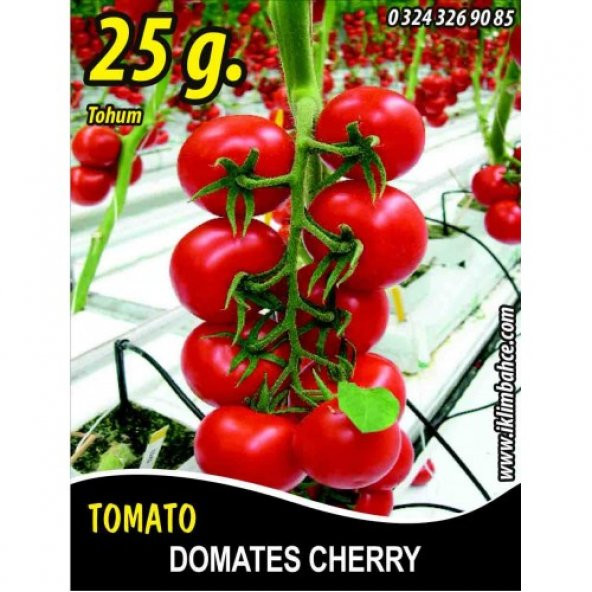 Domates Tohumu Cherry - 25g (~ Takribi 3750 Tohum)