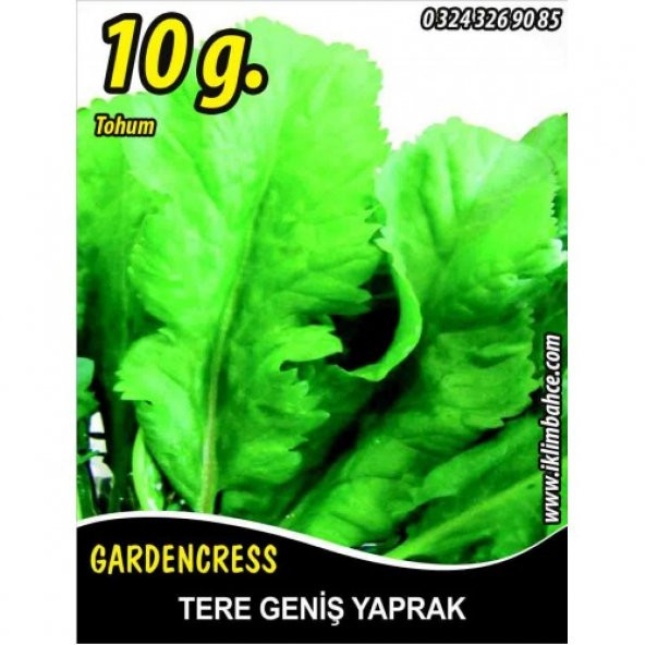 Tere Tohumu Toros Yeşili - 10 g (~ Takribi 2500 Tohum)