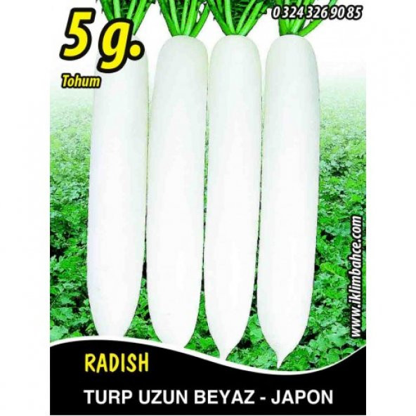 Turp Tohumu Uzun Beyaz (Japon) 5 g (~ Takribi 300 Tohum)