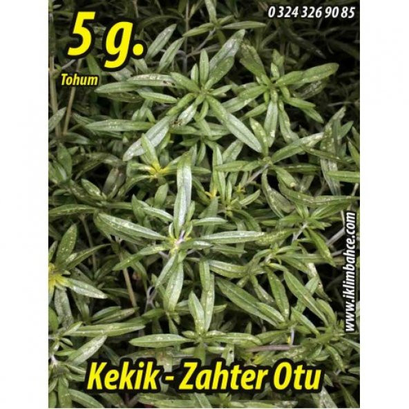 Kekik Tohumu Zahter Satureja hortensis L  - 5 g.  (~ Takribi 1250 Tohum)