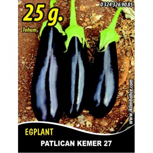 Patlıcan Tohumu Kemer 27 - 25 g (~ Takribi 3.250 Tohum)