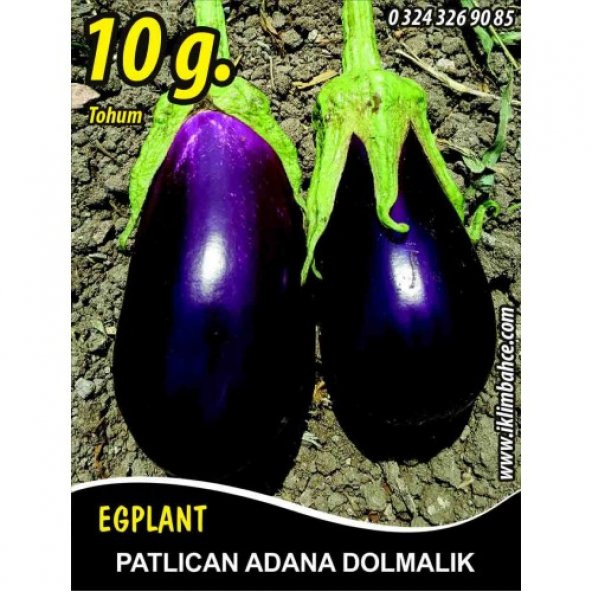 Patlıcan Tohumu Adana Dolmalık - 10 g (~ Takribi 1350 Tohum)
