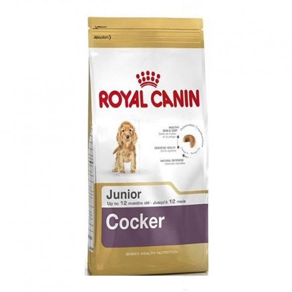 Royal Canin Cocker Irkı için Özel Köpek Maması 3 Kg