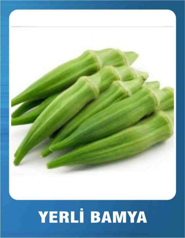 Yerli Bamya Tohumu - 10 gr -170 Adet Tohum - 2