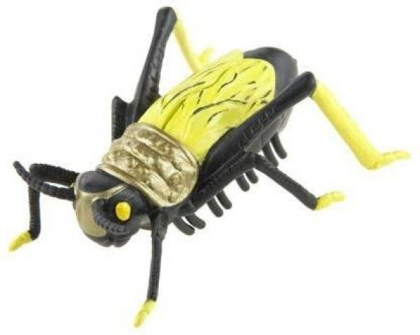 Siyah Çekirge Pilli Titreşimli Şaka Böceği Orjinal Battling Bugs