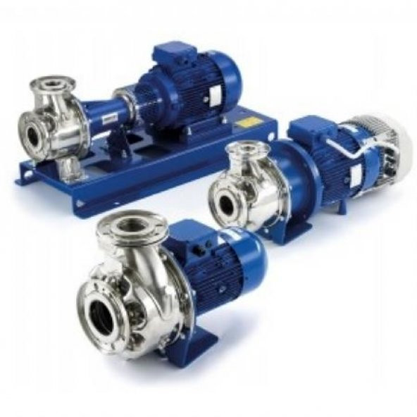 Lowara ESHE 40-125/11/S25RSNA 1,1 Kw 2900 d/d TrifazeDN65 DN40 - 2