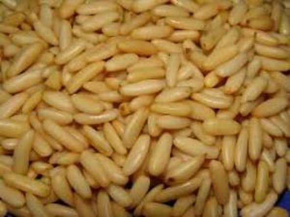 ÇAM FISTIĞI YERLİ 250GR