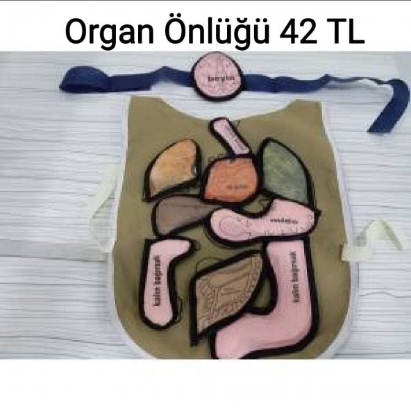 Organ önlüğü