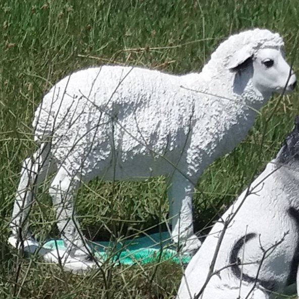 Koyun Kuzu İç ve Dış mekan 50cm Bahçe Oda Çimenlik Köşe Heykeli - 2