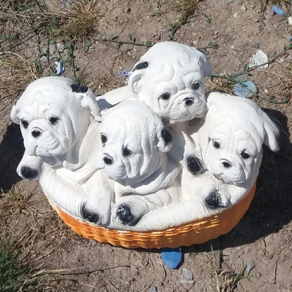 4 Dört Köpek Yavrusu İç Dış mekan 40cm Bahçe Köşe Ev Heykeli