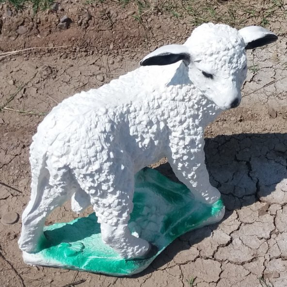 Beyaz Koyun Yavrusu Süt Kuzu İç Dış mekan 50cm Bahçe Oda Heykeli - 3