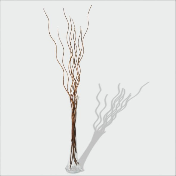 10 Adet Kahverengi Uzun Kıvrımlı Helisel Dalgalı Dal 80cm Fil Ayağı Cam Köşe Vazo