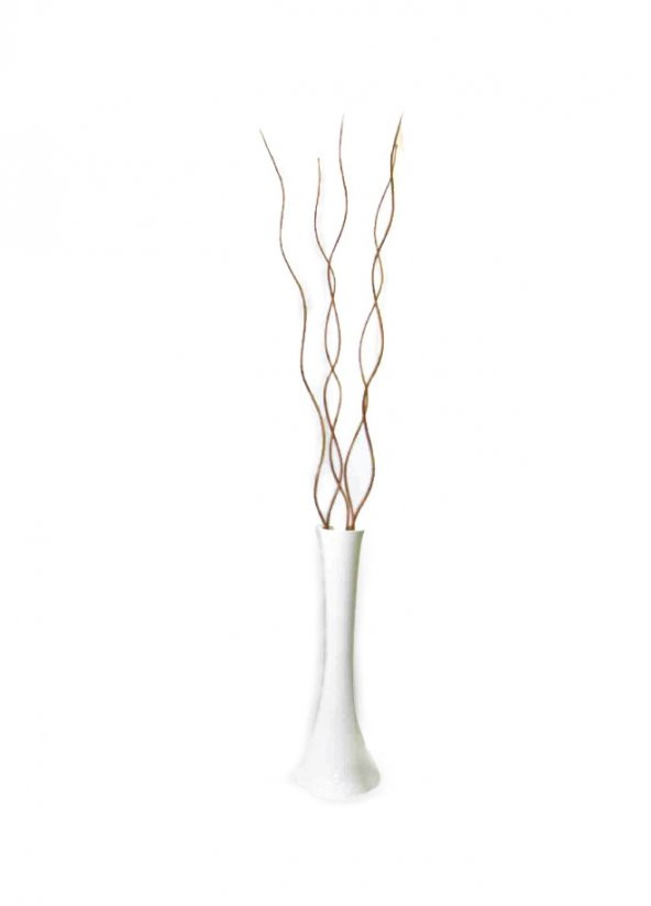 5 Adet Kahverengi Dal Cam 60 cm Beyaz Vazo