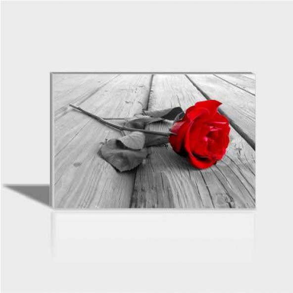 60x90 cm Rose Kırmızı Gül Canvas Tablo