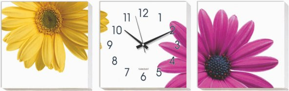 Papatya Kanvas Tablo Duvar Saati