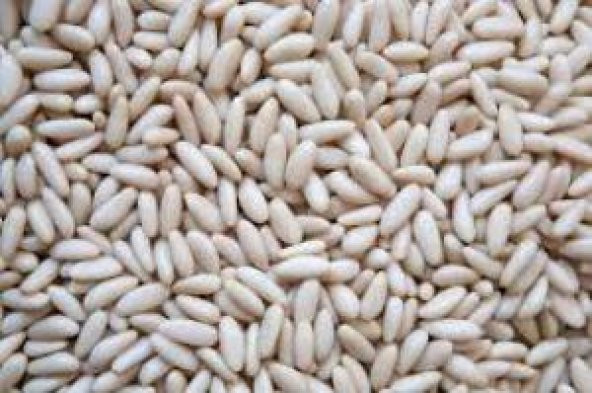ÇAM FISTIĞI 250 GR - 3