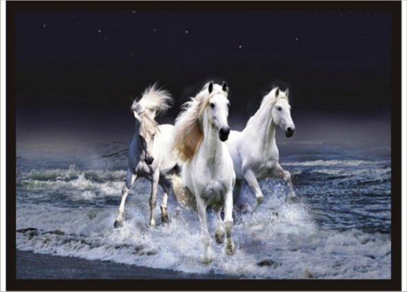 70cmX100cm Deniz Kıyısında Koşan Üçlü Atlar Poster Tablo ürün görseli 1