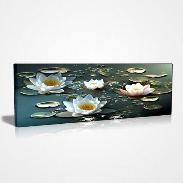 45x30 cm Yüzen Çiçekler Canvas Tablo