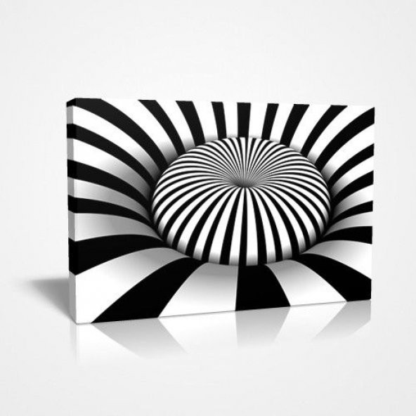 30x45cm Zebra Desen Ağır Sağlam Net Görsel Baskılı Canvas Tablo