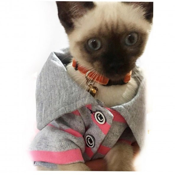 GRİ PEMBE ÇİZGİLİ Polo Yaka Tişört  by Kemique  Kedi Kıyafeti  Kedi Elbisesi