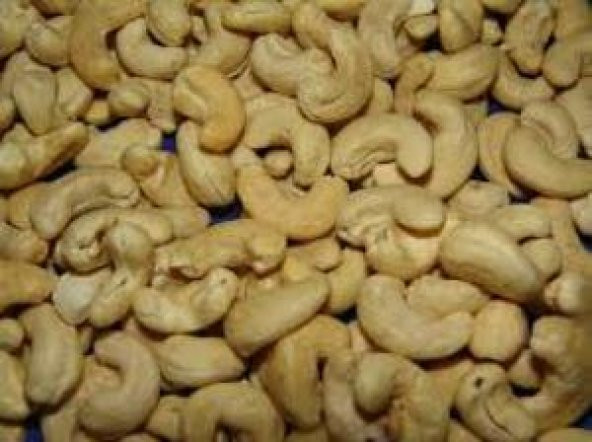 KAJU ÇİĞ 1 KG - 3