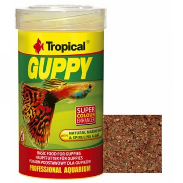 Tropical Guppy Pul Lepistes Yemi 100 ML