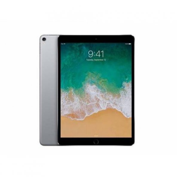 APPLE 10.5" iPad Pro Wi-Fi 256GB S Grey-MPDY2TU/A
