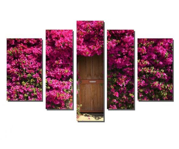 Kapı Üzerindeki Pembe Çiçekler Tablosu