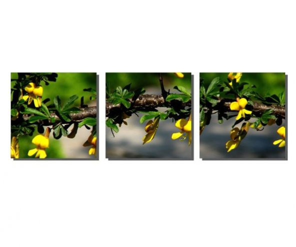 3 Parçalı Sarı Çiçekler Tablosu