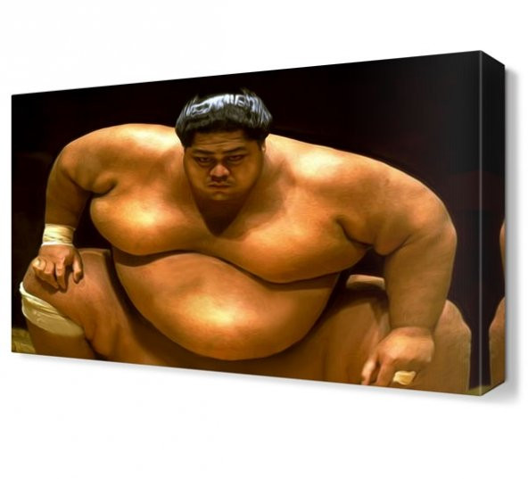 Sumo Güreşçisi Tablosu